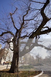 信用卡40万逾期了不还了 信用卡40万逾期了不还了