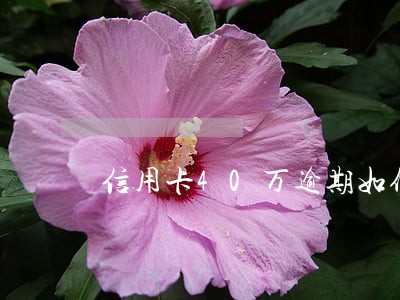 信用卡40万逾期如何找工作 信用卡40万逾期如何找工作
