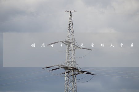 信用卡40元逾期六个月