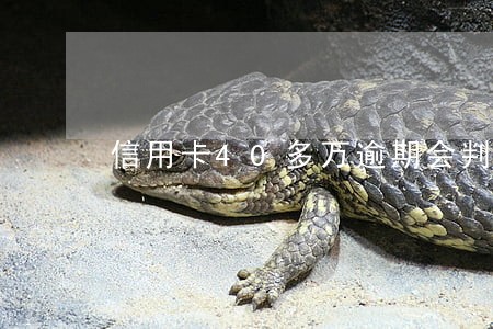 信用卡40多万逾期会判死刑吗 信用卡40多万逾期会判死刑吗