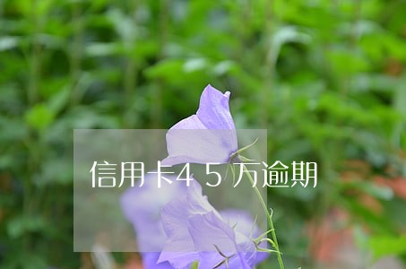 信用卡45万逾期 信用卡45万逾期