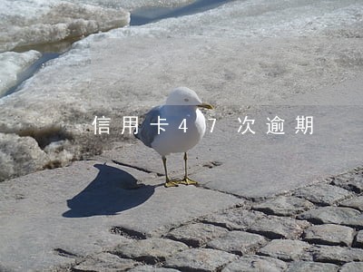 信用卡47次逾期