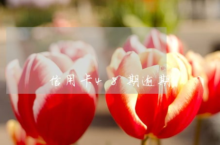 信用卡48期逾期 信用卡48期逾期
