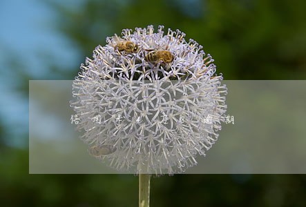 信用卡4万8逾期 信用卡4万8逾期