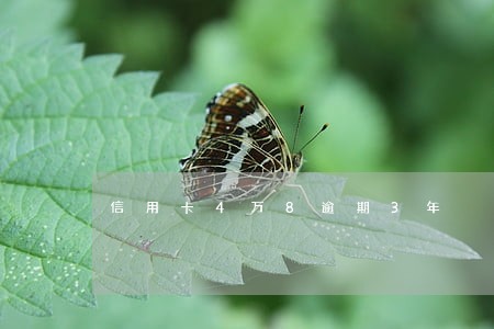 信用卡4万8逾期3年 信用卡4万8逾期3年