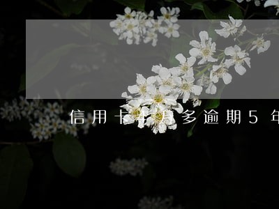 信用卡4万多逾期5年