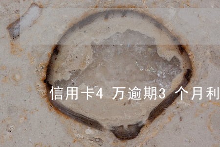 信用卡4万逾期3个月利息多少 信用卡4万逾期3个月利息多少