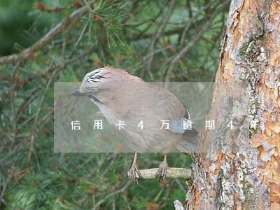 信用卡4万逾期4年