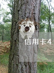 信用卡4万逾期一年多了6 信用卡4万逾期一年多了6