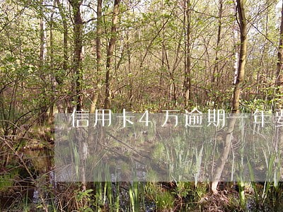 信用卡4万逾期一年要还多少 信用卡4万逾期一年要还多少