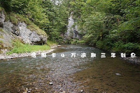 信用卡4万逾期三年利息 信用卡4万逾期三年利息