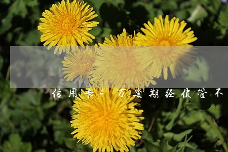 信用卡4万逾期经侦管不管