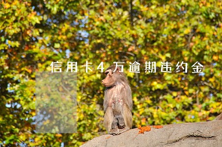 信用卡4万逾期违约金 信用卡4万逾期违约金