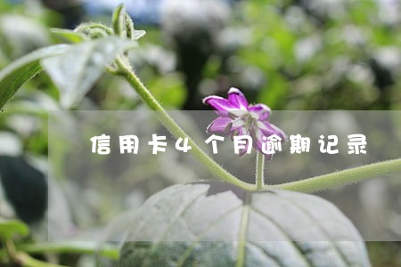 信用卡4个月逾期记录