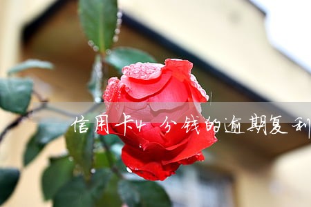 信用卡4分钱的逾期复利 信用卡4分钱的逾期复利