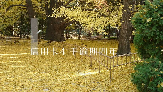 信用卡4千逾期四年 信用卡4千逾期四年