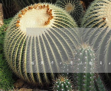 信用卡4号还款日6号算逾期吗 信用卡4号还款日6号算逾期吗