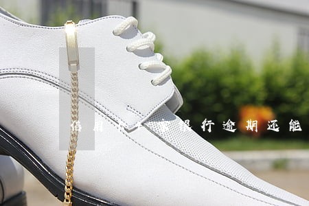 信用卡4家银行逾期还能办吗 信用卡4家银行逾期还能办吗