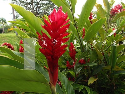 信用卡4年前多次逾期如何挽救