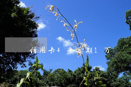信用卡4年逾期1万 信用卡4年逾期1万