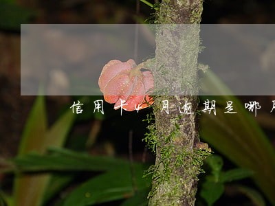 信用卡4月逾期是哪月的账单 信用卡4月逾期是哪月的账单