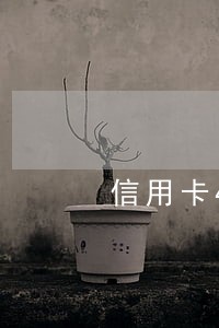 信用卡4次逾期可以随心贷吗