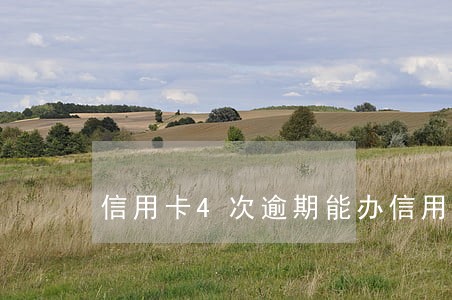 信用卡4次逾期能办信用卡吗