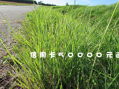 信用卡50000元逾期利息 信用卡50000元逾期利息