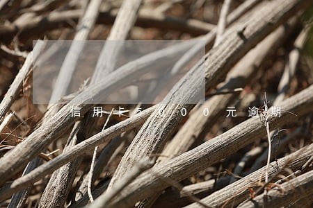 信用卡5000元逾期 信用卡5000元逾期