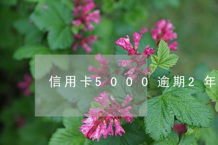 信用卡5000逾期2年