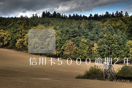 信用卡5000逾期2年利息多少