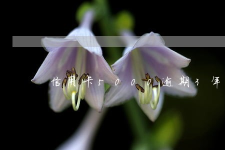 信用卡5000逾期3年 信用卡5000逾期3年