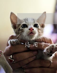 信用卡5000逾期3年违约金 信用卡5000逾期3年违约金