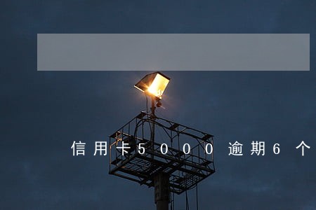 信用卡5000逾期6个月