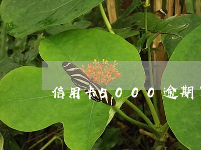 信用卡5000逾期了 信用卡5000逾期了