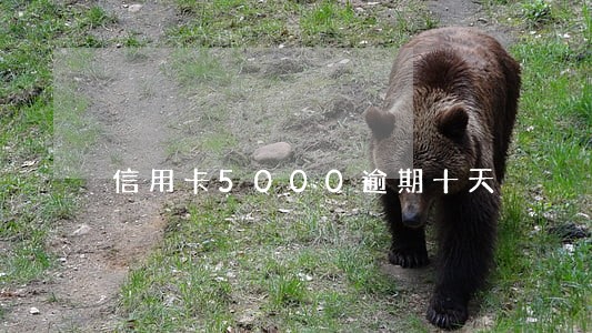 信用卡5000逾期十天 信用卡5000逾期十天