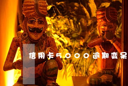 信用卡5000逾期变呆账