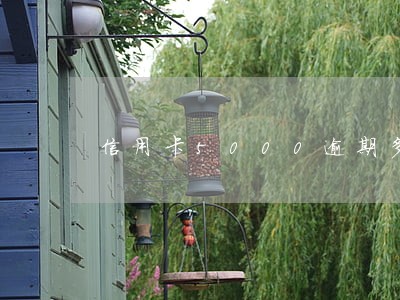 信用卡5000逾期多少 信用卡5000逾期多少