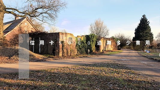 信用卡5000逾期多少费用