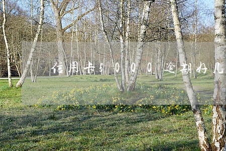 信用卡5000逾期好几年 信用卡5000逾期好几年