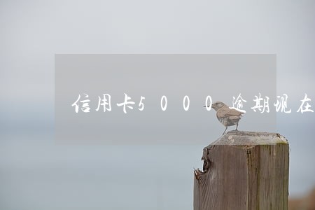信用卡5000逾期现在到1万 信用卡5000逾期现在到1万