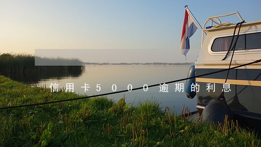 信用卡5000逾期的利息 信用卡5000逾期的利息