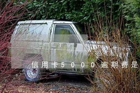 信用卡5000逾期费是多少 信用卡5000逾期费是多少