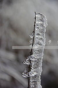 信用卡500块逾期10天 信用卡500块逾期10天