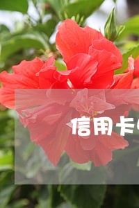 信用卡500逾期