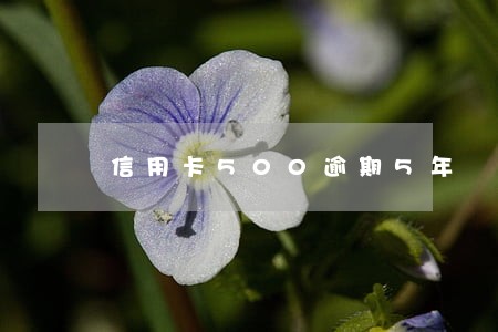 信用卡500逾期5年