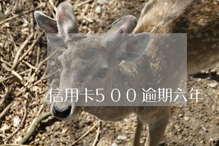 信用卡500逾期六年 信用卡500逾期六年