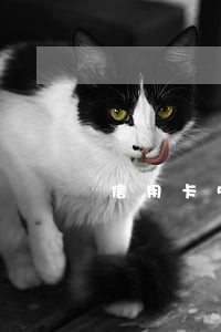 信用卡50万逾期三年 信用卡50万逾期三年