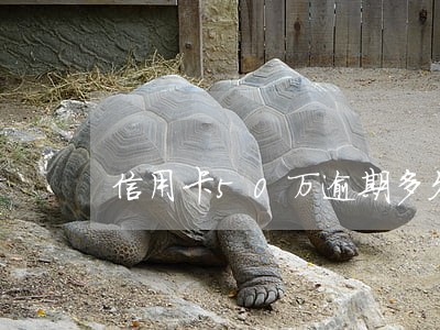 信用卡50万逾期多久会降额 信用卡50万逾期多久会降额