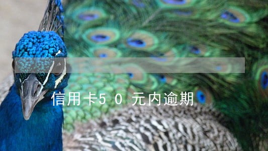 信用卡50元内逾期 信用卡50元内逾期